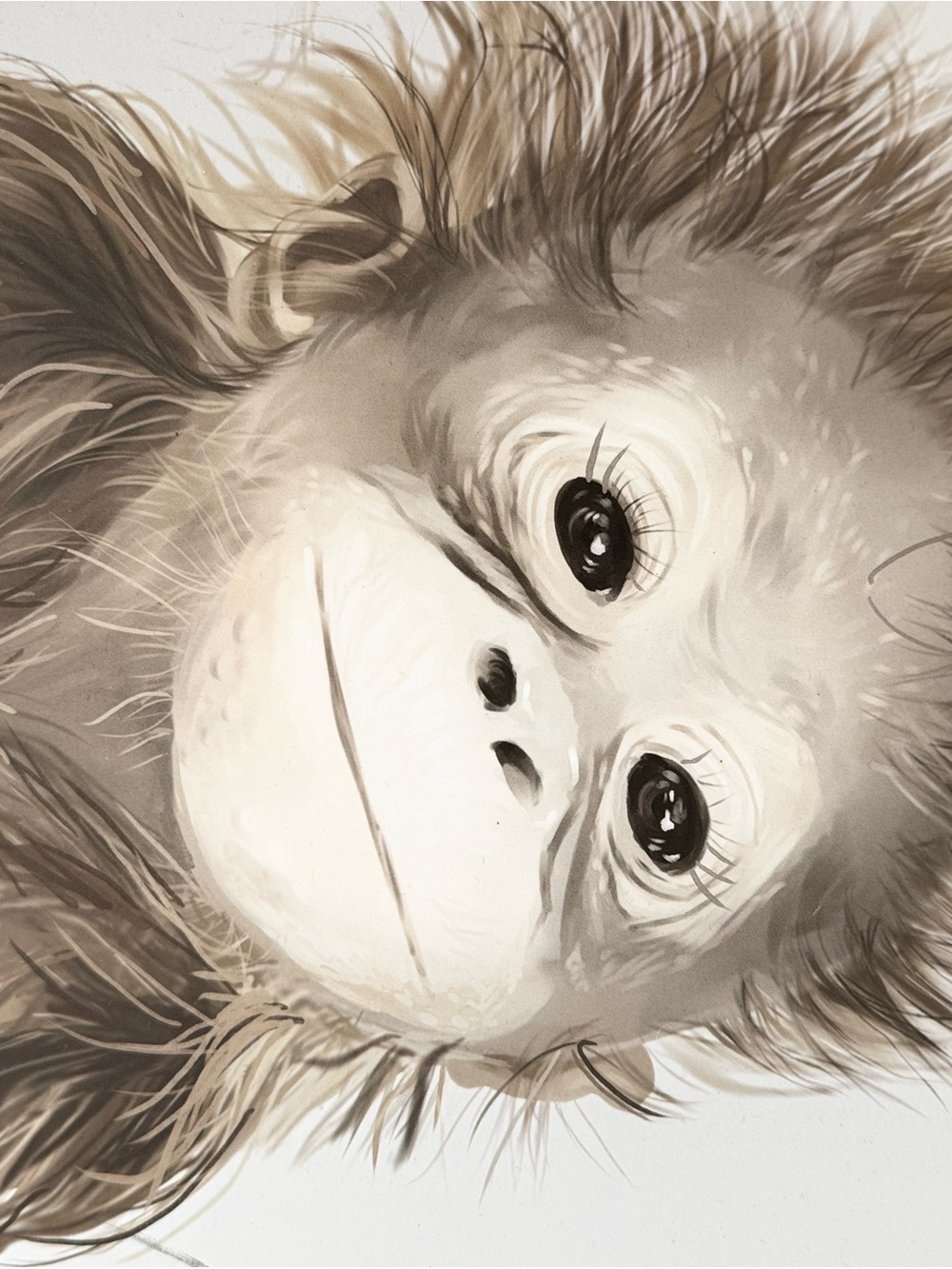 Neutral Brown Baby Monkey Wall Art Print by - Picture 4 of 5